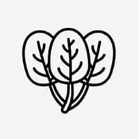 icone-engagement-responsable